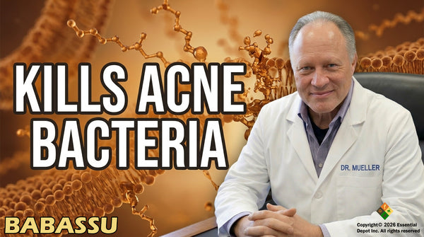 Babassu