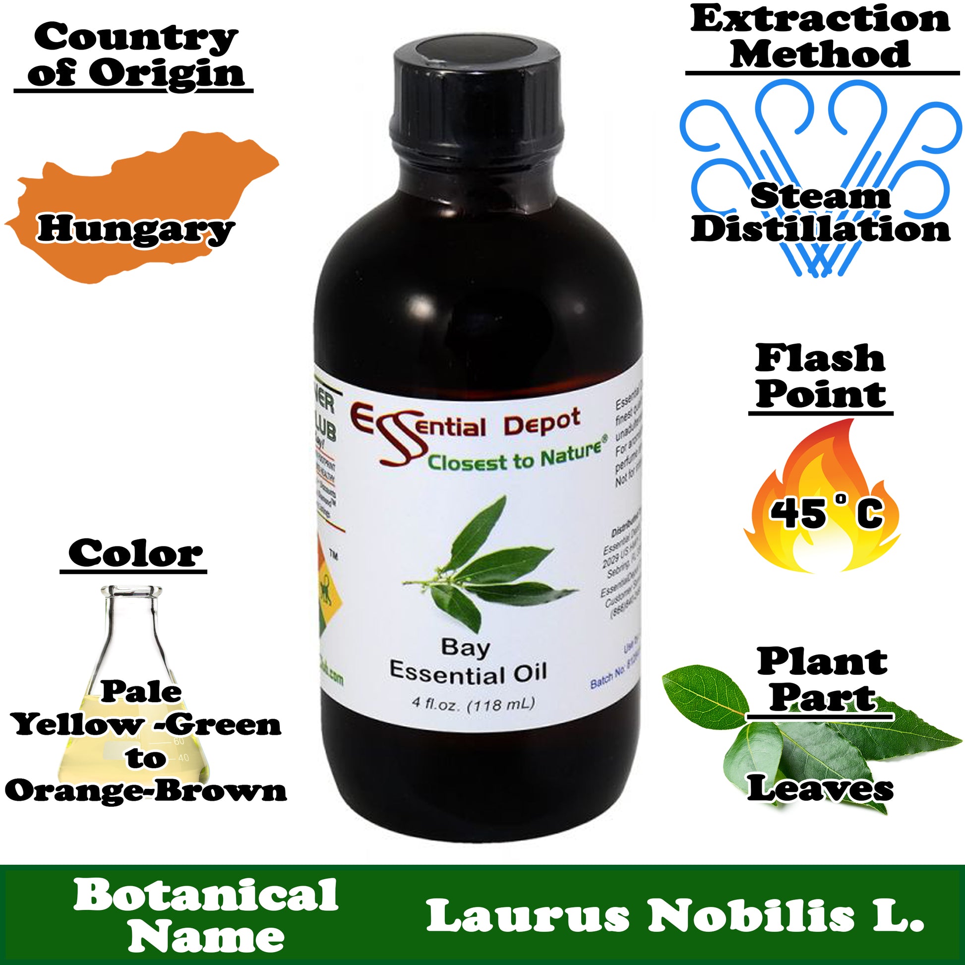 Bay Essential Oil - 4 oz.