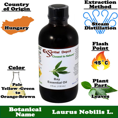Bay Essential Oil - 4 oz.