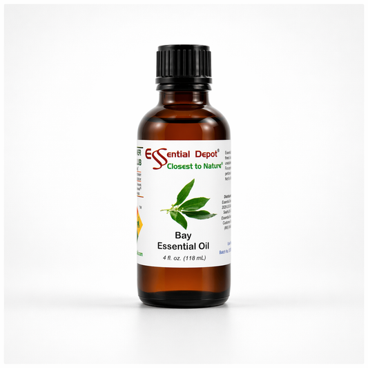 Bay Essential Oil - 4 oz.