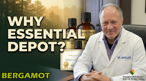 Bergamot