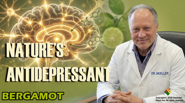Bergamot