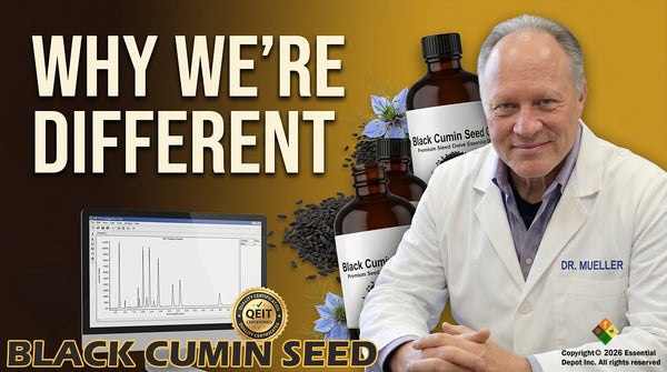 Black Cumin Seed