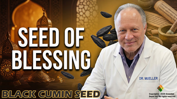 Black Cumin Seed