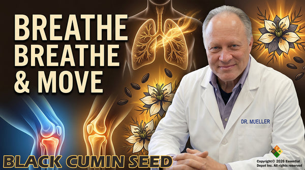 Black Cumin Seed