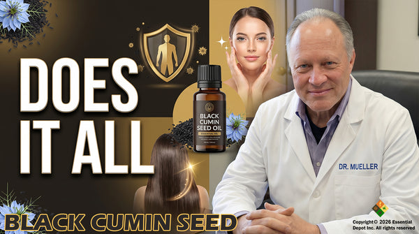 Black Cumin Seed
