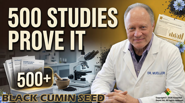 Black Cumin Seed