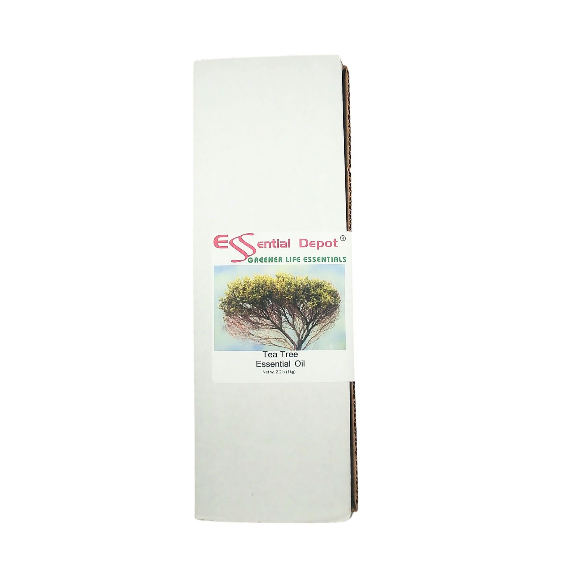 Tea Tree Essential Oil - 1 kg. - Approx 2.2 lbs.
