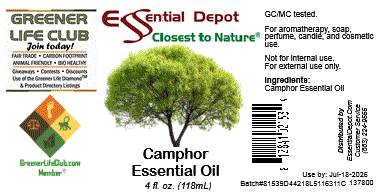Camphor  Essential Oil - 4 oz.