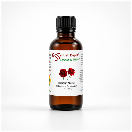 Carnation Absolute 5% Dilution in Pure Jojoba - 4 fl oz