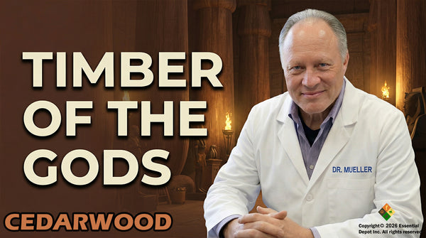 Cedarwood