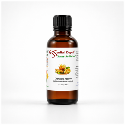 Champaka Absolute 5% Dilution in Pure Jojoba - 4 fl oz