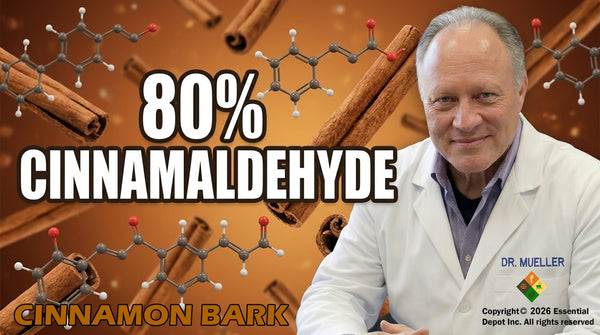 Cinnamon Bark