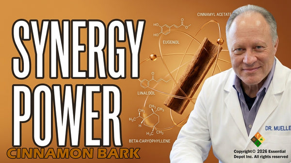 Cinnamon Bark
