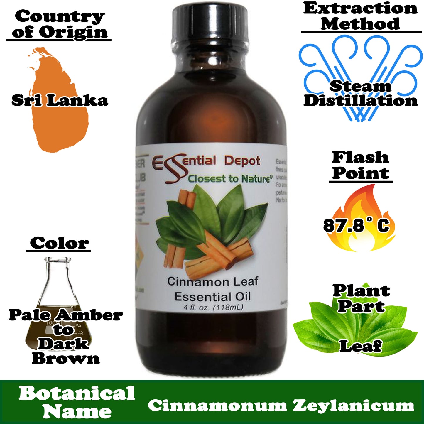 Cinnamon Leaf Essential Oil - 4 oz.