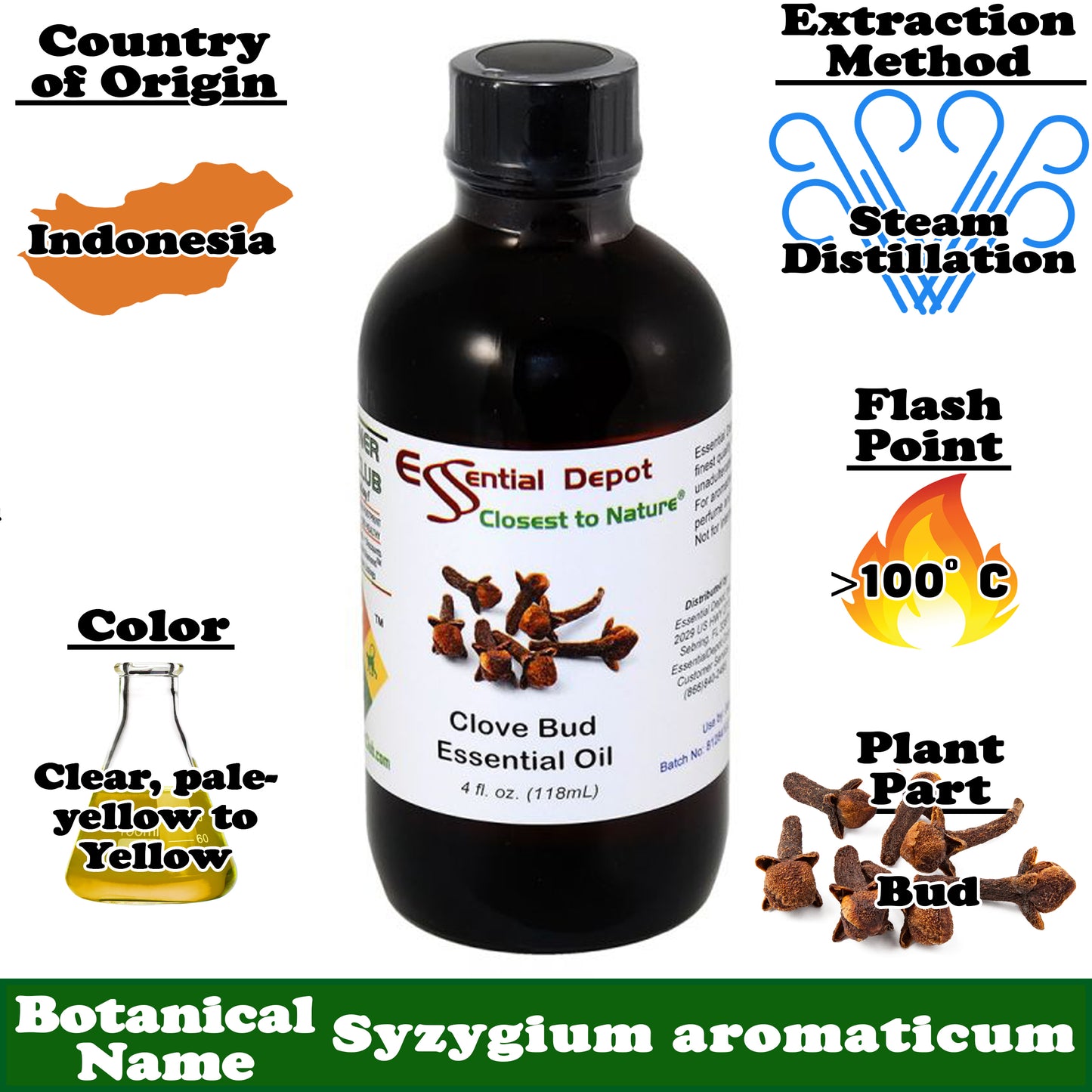 Clove Bud Essential Oil - 4 oz.