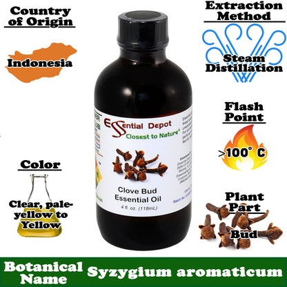 Clove Bud Essential Oil - 4 oz.