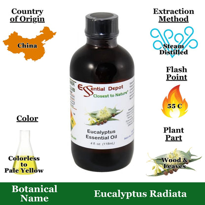 Eucalyptus Essential Oil - 4 oz.
