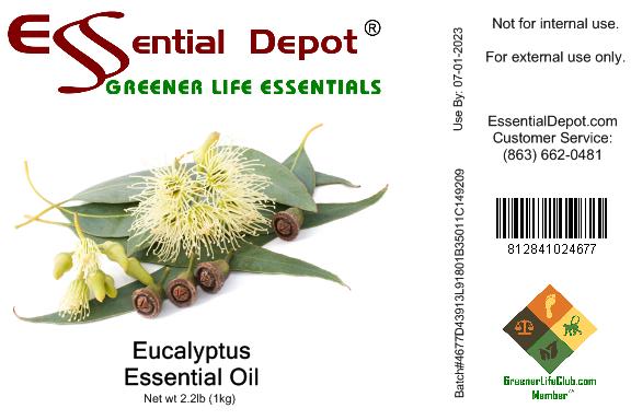 Eucalyptus Essential Oil - 1 kg. - Approx 2.2 lbs