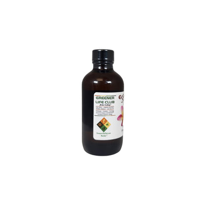 Frangipani Fragrance Oil - 4 oz.