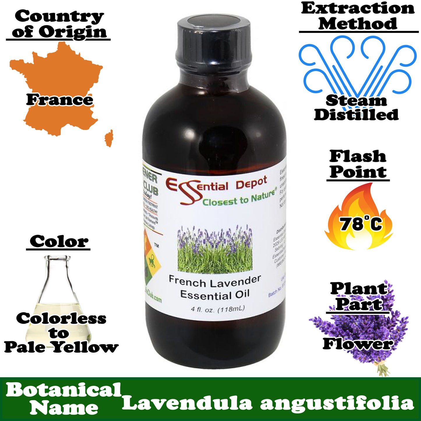 Lavender French Essential Oil - 4 oz.