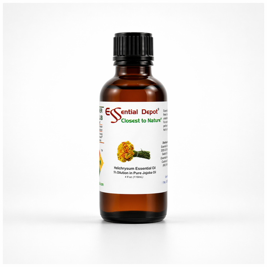 Helichrysum 5% Dilution in Pure Jojoba - 4oz