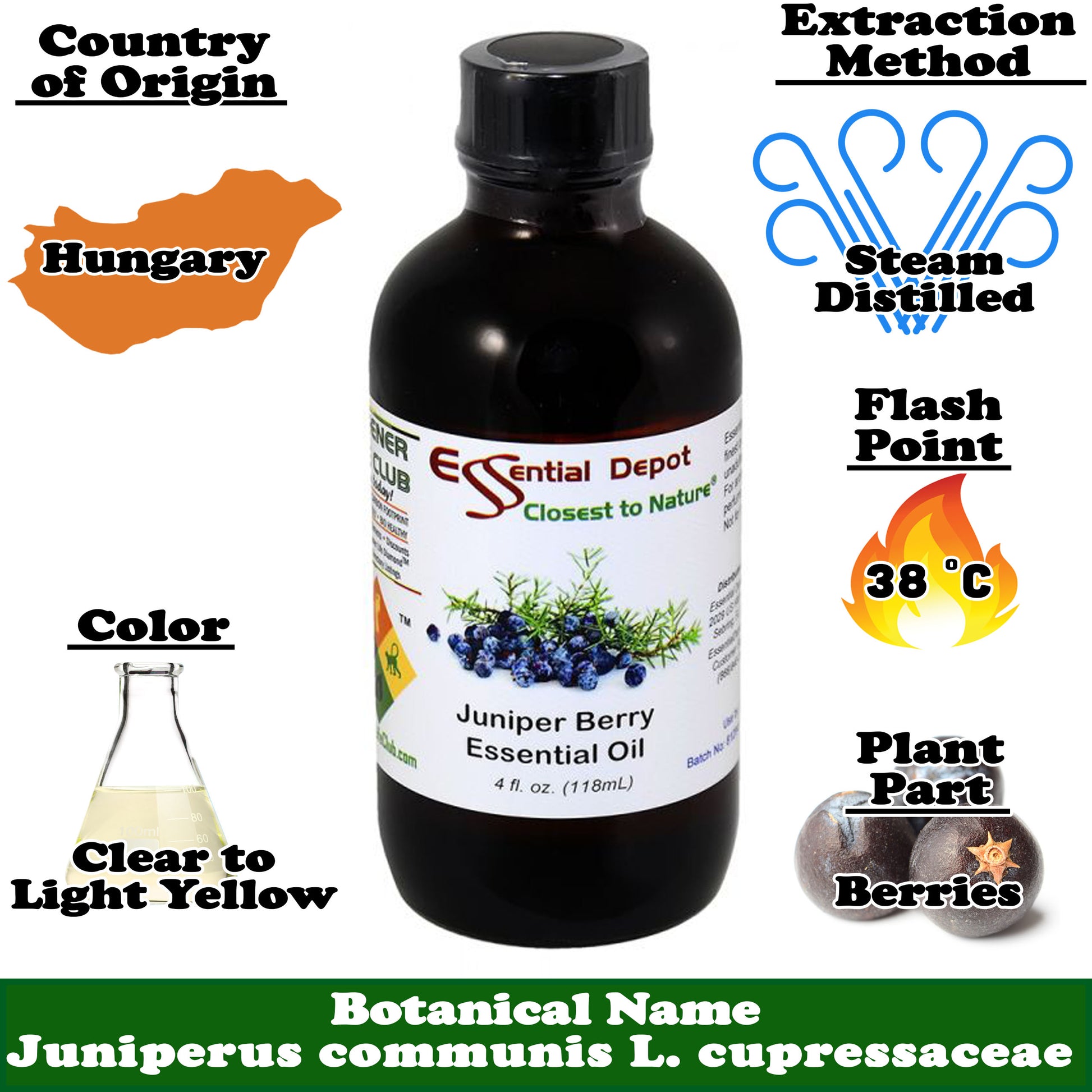 Juniper Berry Essential Oil - 4 oz.