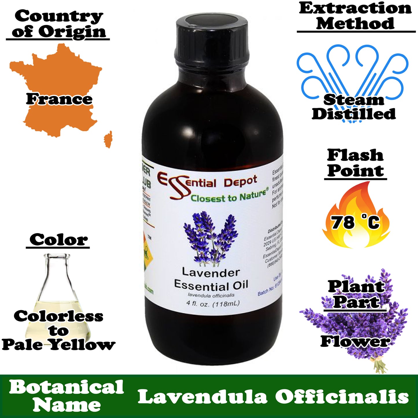 Lavender Essential Oil - 4 oz