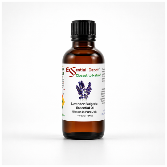 Bulgarian Lavender 5% Dilution in Pure Jojoba - 4 fl oz