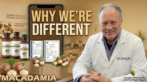 Macadamia