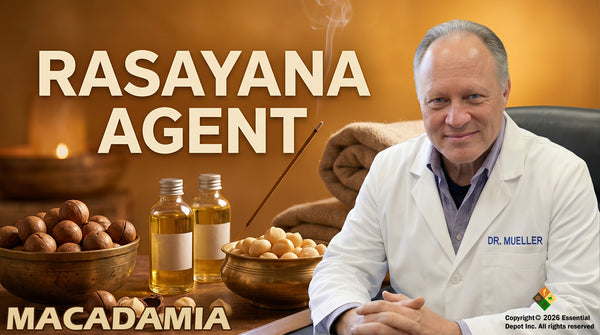 Macadamia