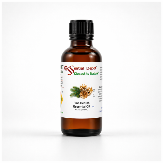Pine Scotch Essential Oil - 4 oz.