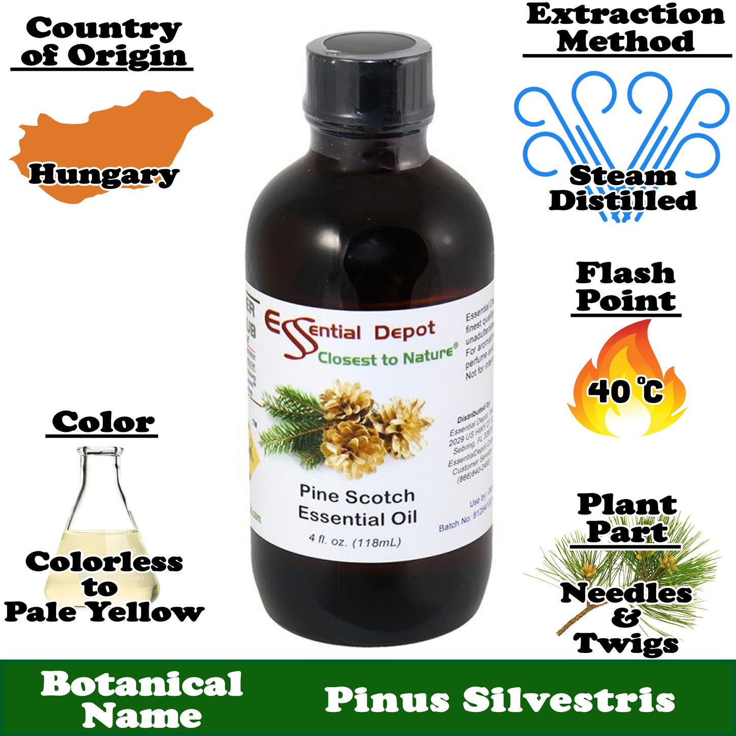 Pine Scotch Essential Oil - 4 oz.