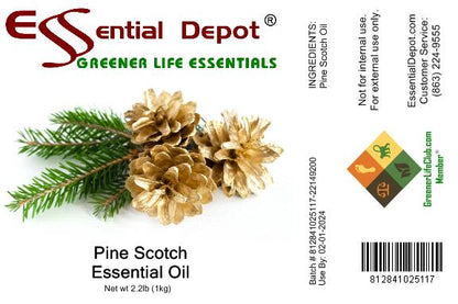 Pine Scotch Essential Oil - 1 kg. - Approx 2.2 lbs.