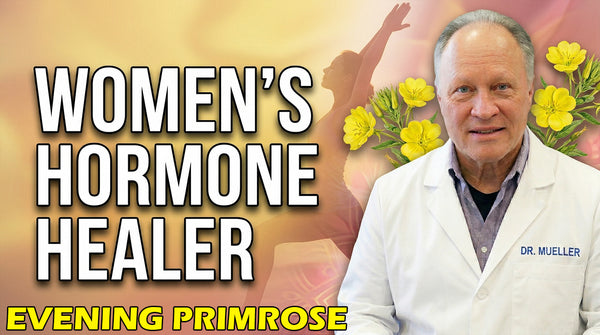 Primrose