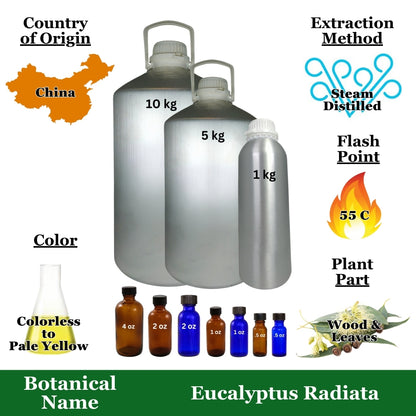 Eucalyptus Essential Oil - 1 kg. - Approx 2.2 lbs