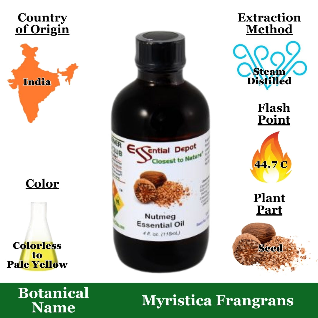 Nutmeg Essential Oil - 4 oz.