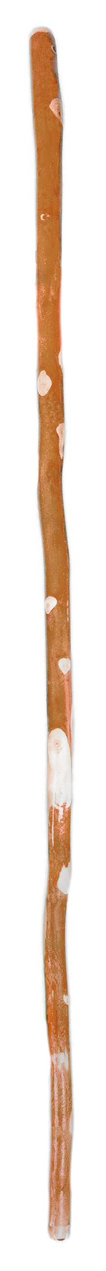 Essential Depot Walking Stick