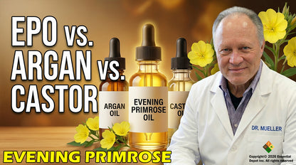 Organic Evening Primrose Oil - 4 oz.