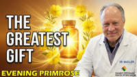 Organic Evening Primrose Oil - 4 oz.