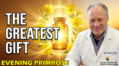 Organic Evening Primrose Oil - 4 oz.