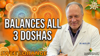 Orange Sweet Essential Oil - 4 oz.