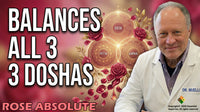 Rose Absolute 5% Dilution in Jojoba - 4 fl oz