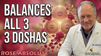 Rose Absolute 5% Dilution in Jojoba - 4 fl oz