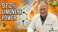 Orange Sweet Essential Oil - 4 oz.