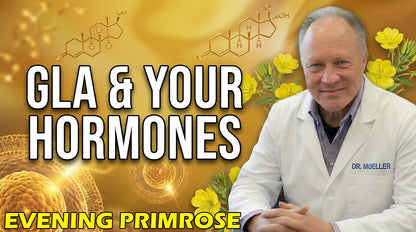 Organic Evening Primrose Oil - 4 oz.