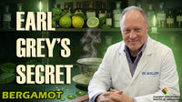 Bergamot Essential Oil - 4 oz.