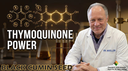 Black Cumin Seed Oil - 4 oz.