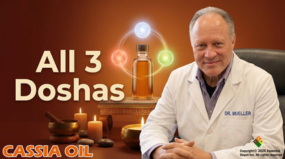 Cassia Essential Oil - 4 oz.