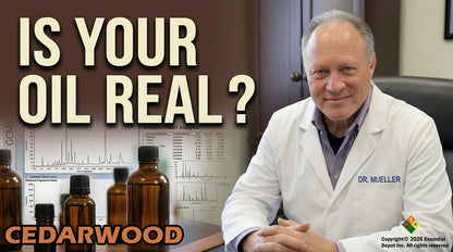 Cedarwood Essential Oil - 1 kg. - Approx 2.2 lbs.